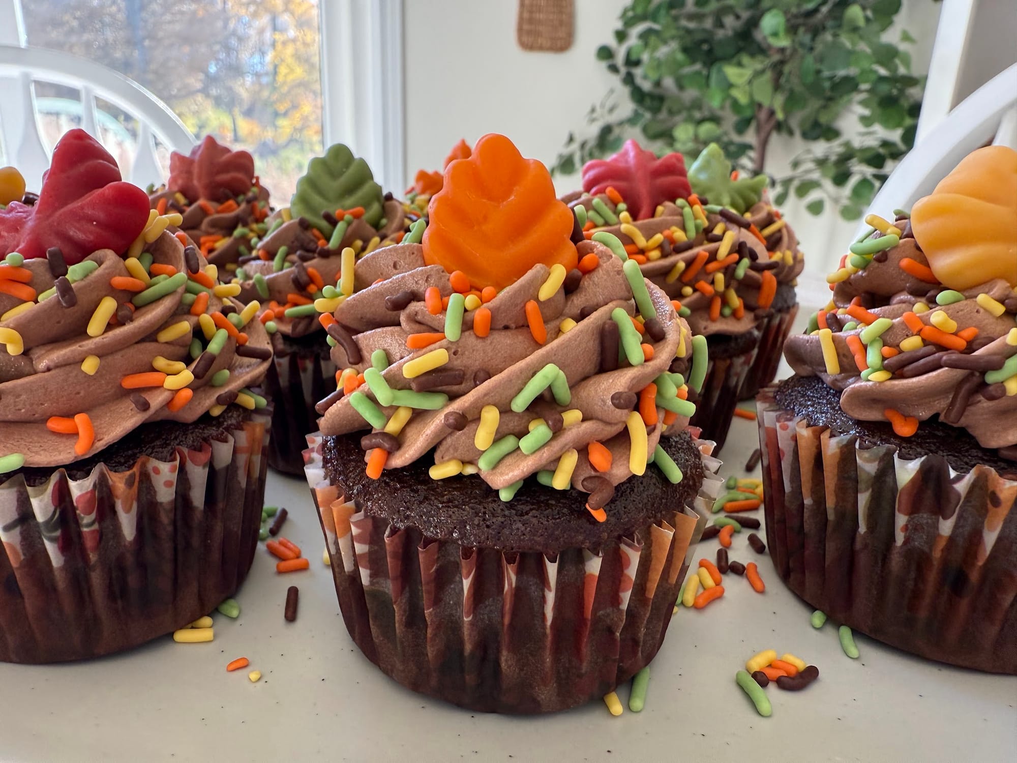 Chocolate Cupcakes with Chocolate Buttercream